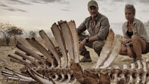 Predators Up Close with Joel Lambert — foto 3
