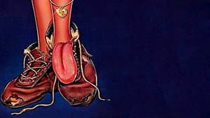 Loose Shoes — foto 1