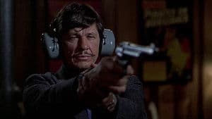 El vengador anónimo — foto 4