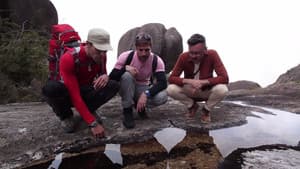 Episodio 5
