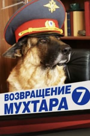 Temporada 7