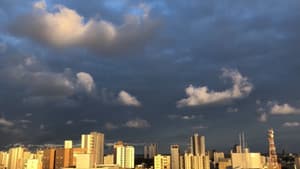 Twenty Skies — foto 2