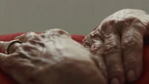 The Silence of Life — foto 1