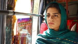 زندگی گلزار ہے — foto 1