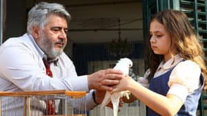 Benim Dünyam — foto 7