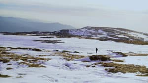 Eikasia — foto 6