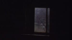 Nest — foto 1