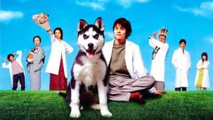 動物のお医者さん — foto 1