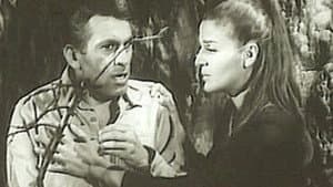 Ο άνθρωπος που γύρισε από τον πόνο — foto 1