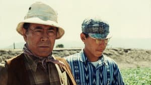 ストロベリーロード — foto 1