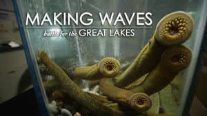 Making Waves — foto 2