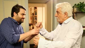 ستایش — foto 11
