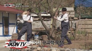 Episodio 5