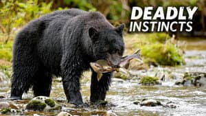 Deadly Instincts — foto 5