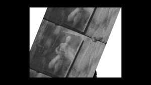 Filme Lynch — foto 1