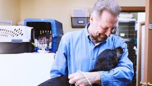 The Wild Life of Dr. Ole — foto 4