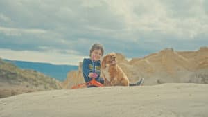 The Bystander — foto 2