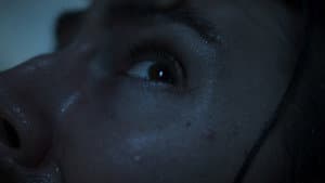 The Dysphoria — foto 2