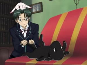 La luz, la sombra y el perro negro