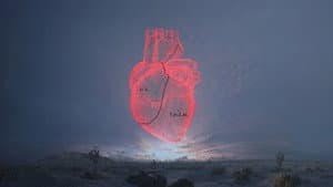 Carne y Arena — foto 1