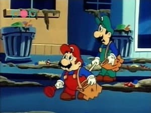 Recicla Koopa