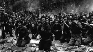 Amerikas geheimer Krieg in Laos - Die größte Militäroperation der CIA — foto 3