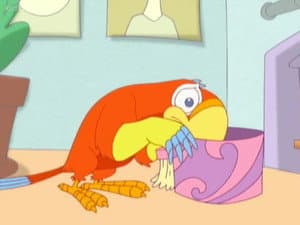 Episodio 50