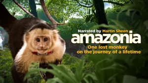Amazonia — foto 3