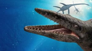 Monstruos Marinos: una aventura Prehistórica — foto 2