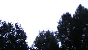 storm — foto 6