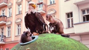 Akiko, der fliegende Affe — foto 3