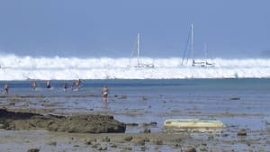 Tsunami: Caught on Camera — foto 1