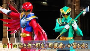 Episodio 11