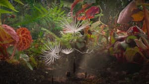 Planètes — foto 1