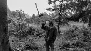 Auch eine Axt — foto 1