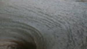 Episodio 76