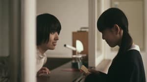 眩しくて見えなかったから長い瞬きを繰り返した — foto 2