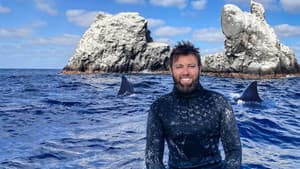 Mystery of the Black Demon Shark — foto 1