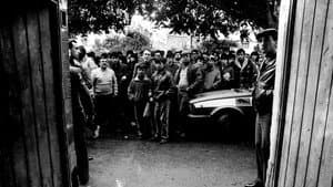 Shooting the Mafia — foto 8