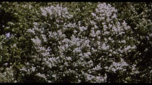 Belle de Nature — foto 5