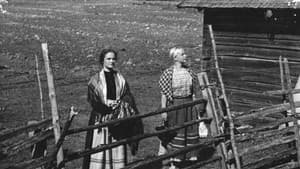 Paimen, piika ja emäntä — foto 1
