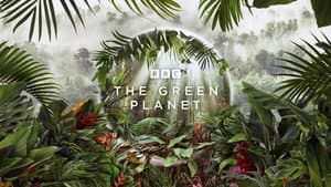 Planeta Verde — foto 7