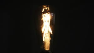 HALCYON — foto 1