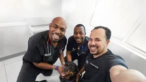 The Vet Life — foto 1