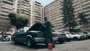 Polilla — foto 1