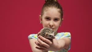 Fous des animaux — foto 1