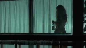 La tarantola dal ventre nero — foto 3