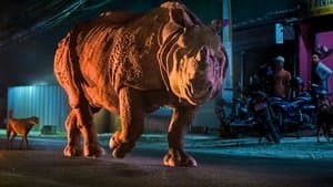 Episodio 7