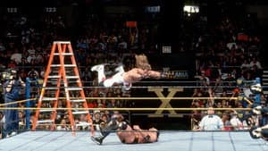 WWE WrestleMania X — foto 7
