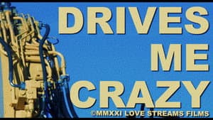 Drives Me Crazy — foto 1